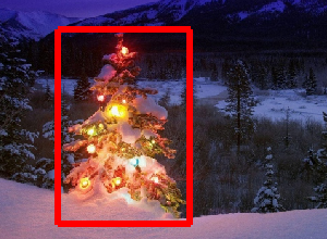 Christmas tree detection project